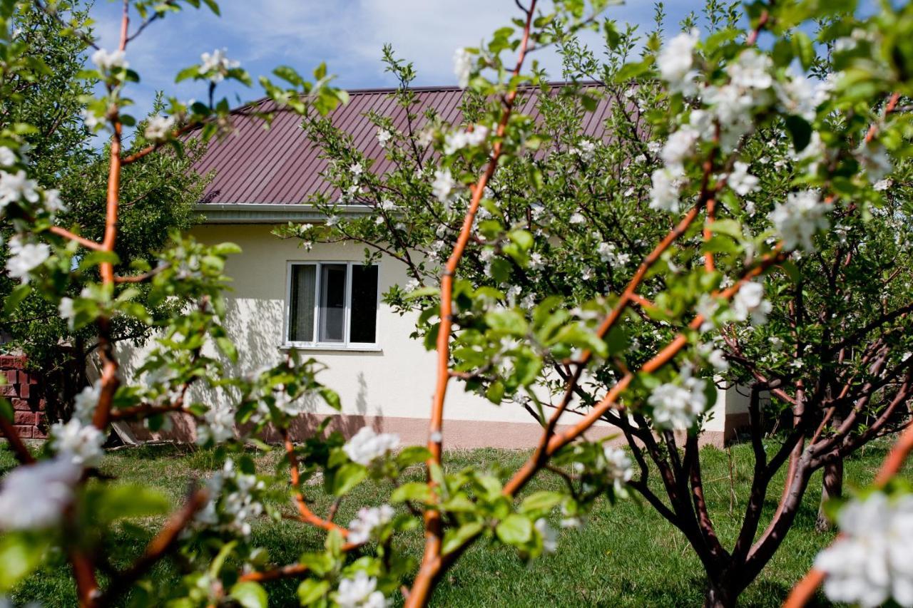 Barskoon Guest House Bagian luar foto